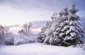 Mon, Preston schools closed Wednesday; Meals on Wheels won't deliver due to weather